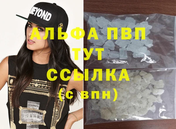 стаф Дмитров