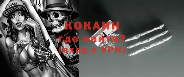стаф Дмитров