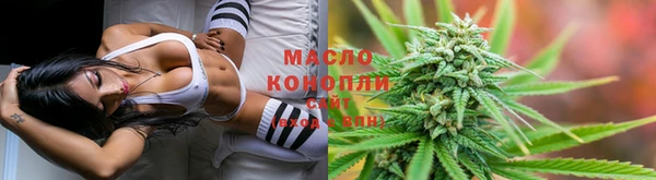 стаф Дмитров