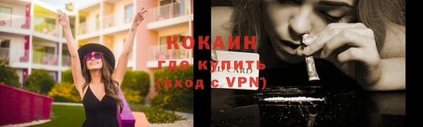мет Дмитриев