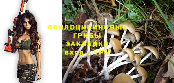 стаф Дмитров