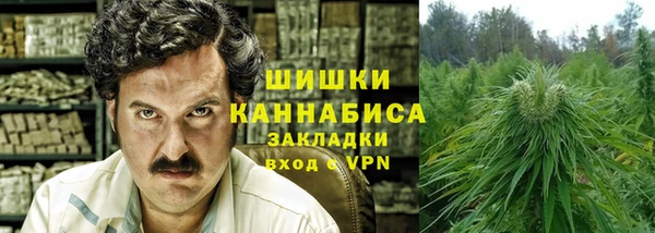 мет Дмитриев