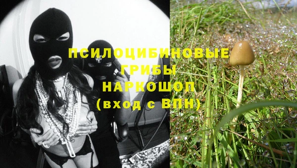 стаф Дмитров