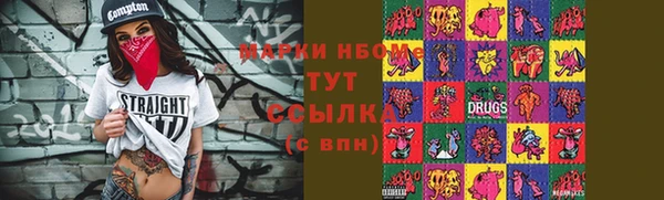 мет Дмитриев