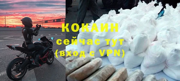 мет Дмитриев