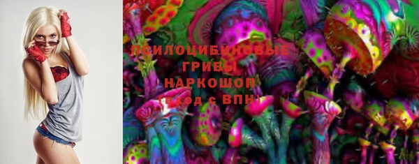 стаф Дмитров