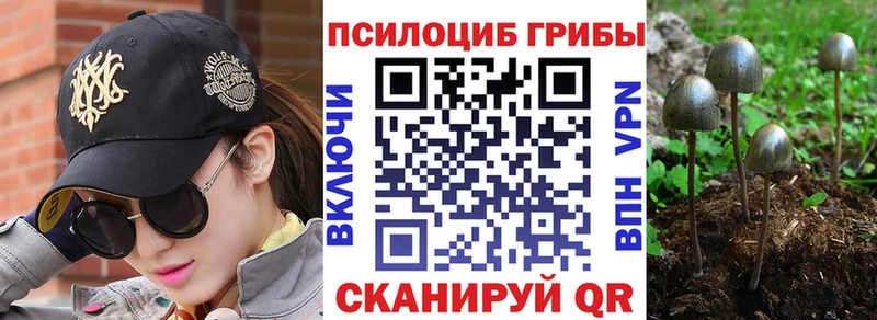 Галлюциногенные грибы MAGIC MUSHROOMS Дудинка